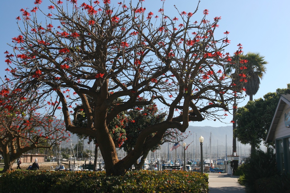 Santa Barbara Harbor